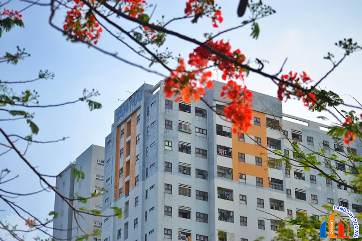 CHUNG CƯ TÂN MAI BÌNH TÂN