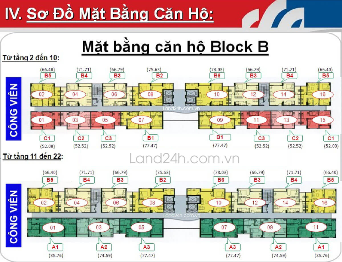 Mặt bằng chi tiết tòa B Lotus Garden
